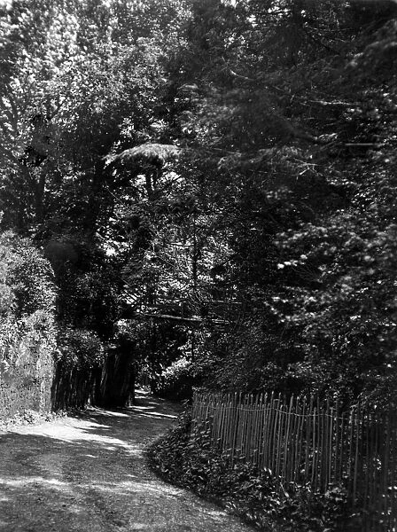 Smugglers Lane, Teignmouth, Devon, c. 1924