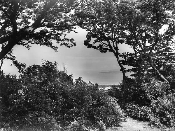 Trelyon Downs, Cornwall, June 1946