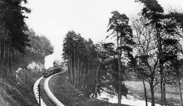 Yeovil Pen Mill Railway Cutting, Somerset, c. 1910
