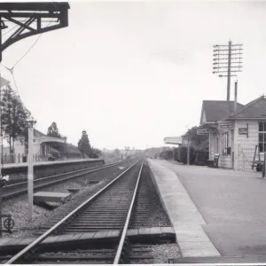 Athelney Station and Signal Box, Somerset, c. 1960