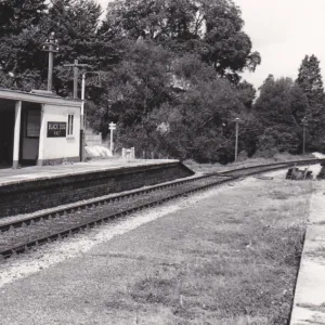 Black Dog Halt, near Calne, c. 1960