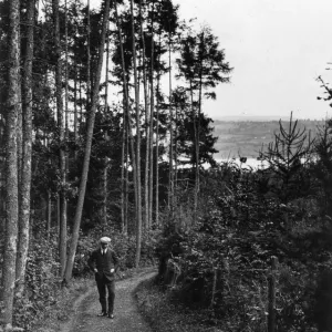 Blagdon, Somerset, August 1924