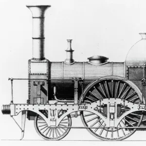 Broad Gauge locomotive, Fire Fly