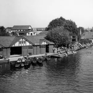 Caversham Rose, Reading, August 1932