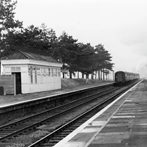 Cheltenham Racecourse Station, Gloucestershire, c. 1960