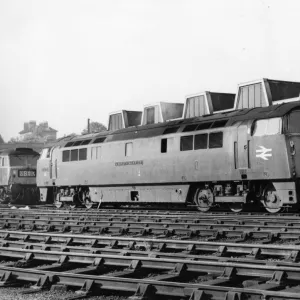 D1017 Western Warrior - Western Class Diesel Hydraulic Locomotive