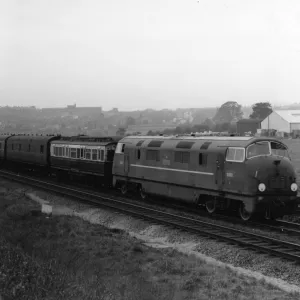 No D801 Vanguard - Warship Class Diesel Hydraulic Locomotive