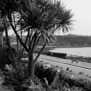 Falmouth - Pendennis Head, September 1930