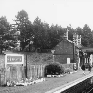 Fencote Station, Herefordshire, September 1952