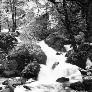 Glen Lyn Gorge at Lynmouth, Devon, 1950 Glen Lyn Gorge at Lynmouth, Devon, 1950