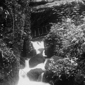 The Glen at Wookey Hole, Somerset