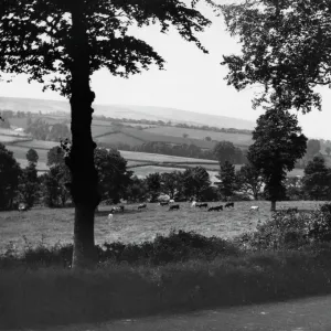 Kilve, Somerset, c. 1920s