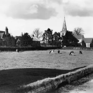 Little Bedwyn, c. 1930 Little Bedwyn, c. 1930
