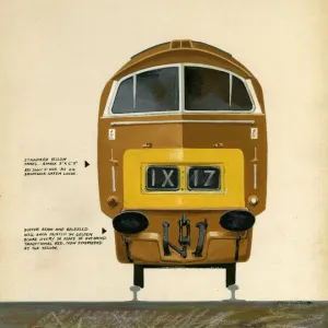 Livery diagram for a Class 52 Western locomotive in 1963