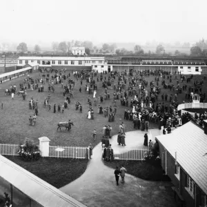 Newbury Racecourse Station, September 1905