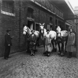 Paddington Mint Stables, London, c. 1920s Paddington Mint Stables, London, c. 1920s
