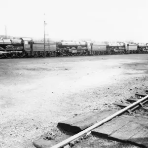 Row of 5 Castle Class Locomotives Row of 5 Castle Class Locomotives