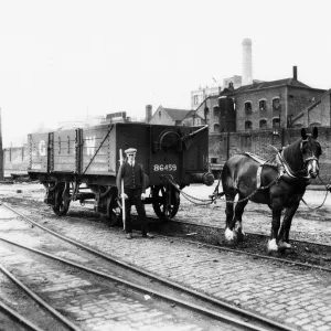 The last shunting horse at Paddington, 1925