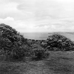 Trelyon Downs, Cornwall, June 1946