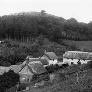 Triscombe in the Quantock Hills, Somerset