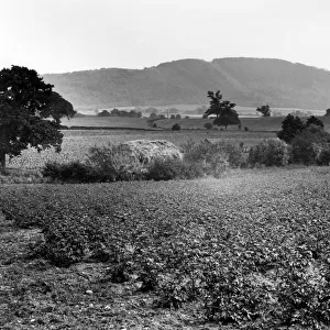 The Wrekin, Welon, Shropshire, August 1925
