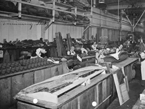 Workers at Swindon Works Collection: No 9 shop, Carriage Trimming Shop, 1953