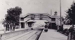 Shropshire Collection: Albrighton Station, Shropshire, c.1900