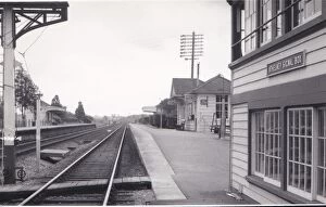 Somerset Collection: Athelney Station and Signal Box, Somerset, c.1960