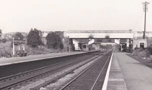 Bath Collection: Bathampton Station, Somerset, c.1960