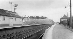 Halt Gallery: Bittaford Platform, Devon, 4th August 1958