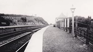 Halt Gallery: Bittaford Platform, Devon, c.1930s