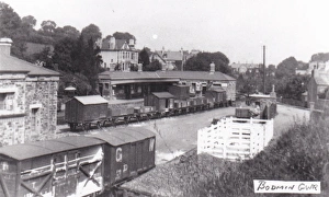Wagon Collection: Bodmin General Good Yard