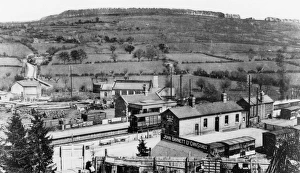 Goods Prints: Bromyard Station and Downs, Herefordshire, c. 1890s