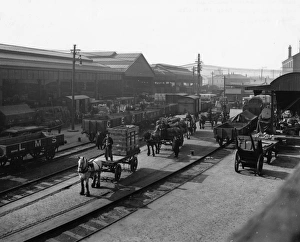 Wagon Collection: Cardiff Newtown Goods Yard, 1924