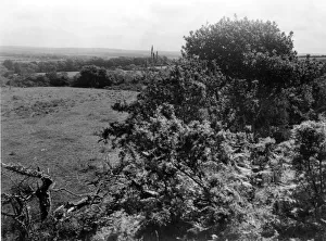 Cornwall Gallery: Castle Kayle Earthwork, Cornwall, June 1946
