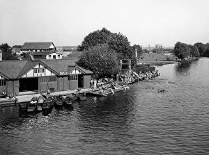 Holidaymakers Gallery: Caversham Rose, Reading, August 1932
