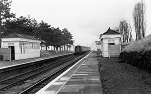 Cheltenham Stations Collection: Cheltenham Racecourse Station, Gloucestershire, c.1960
