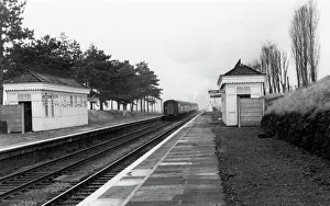 Cheltenham Collection: Cheltenham Racecourse Station, Gloucestershire, c.1960