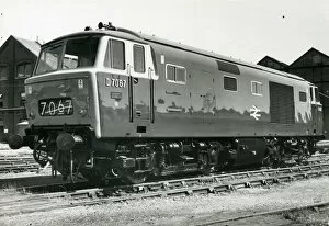 Images Dated 25th January 2022: Class 35 Hymek Locomotive No. D7067 with pristine livery in about 1966