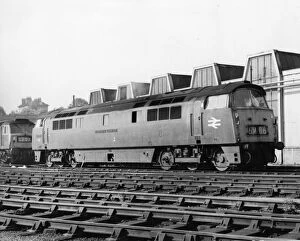 Bristol Gallery: D1017 Western Warrior - Western Class Diesel Hydraulic Locomotive