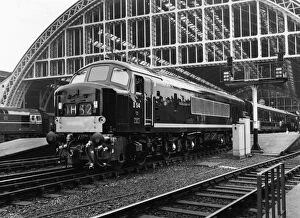Diesel Gallery: Diesel Locomotive, The Royal Pioneer Corp, departing St Pancras, c1960