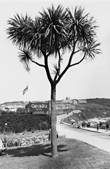 Falmouth - Castle Beach, July 1934