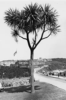 Holidaymakers Collection: Falmouth - Castle Beach, July 1934
