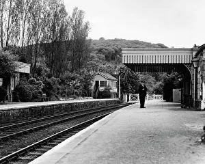 Images Dated 3rd June 2013: Gara Bridge Station, Devon
