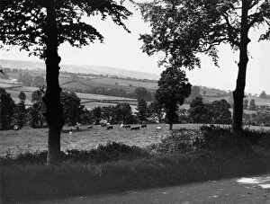 Area Of Outstanding Natural Beauty Gallery: Kilve, Somerset, c.1920s