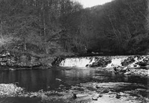 1920s Collection: Little Heath River, Coventry, Warwickshire, May 1924