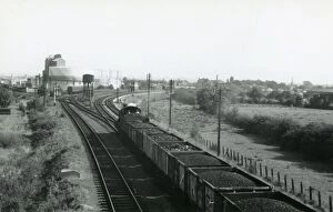 Warwickshire Stations Gallery: Loco No. 5311 Approaching Stratford on Avon, 1959