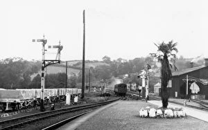 Lostwithiel Gallery: Lostwithiel Station, Cornwall, September 1956