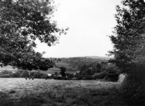 Luxulyan Valley, Cornwall, August 1928