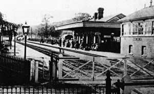 Berkshire Collection: Midgham Station, c1890s